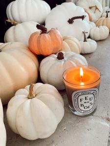 diptyque feu de bois wood fire scented candle for fall