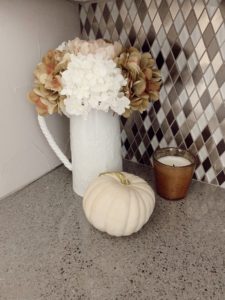 lifestyle blogger sharing fall home decor