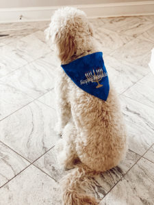 blue happy hanukkah festive dog bandana on goldendoodle